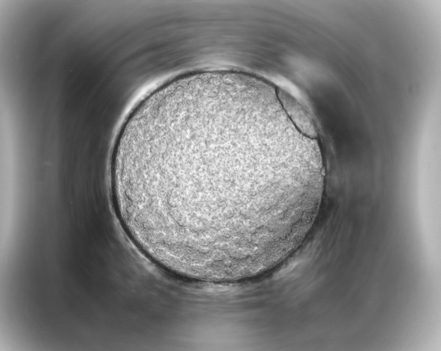 X0000086921191200704301051