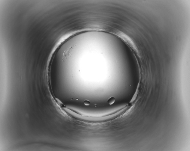 X0000086921192200704301051