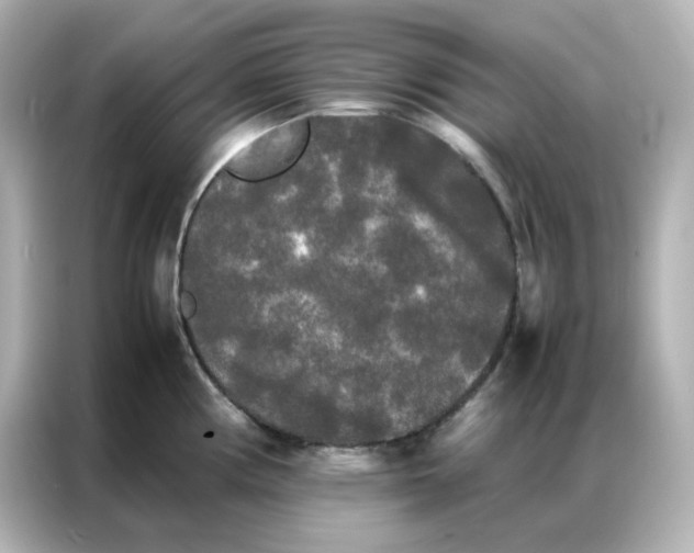 X0000086921194200704301051