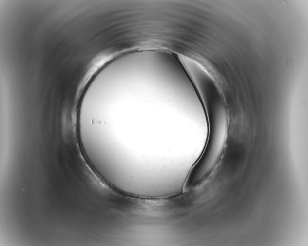 X0000086921196200704301051