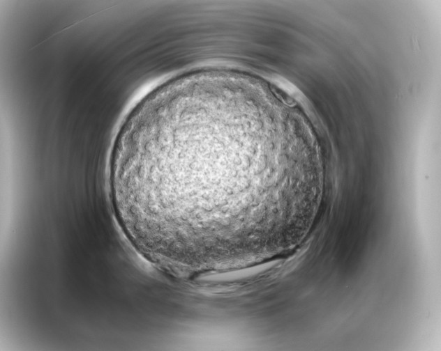 X0000086921199200704301051