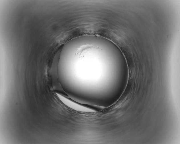 X0000086921202200704301050