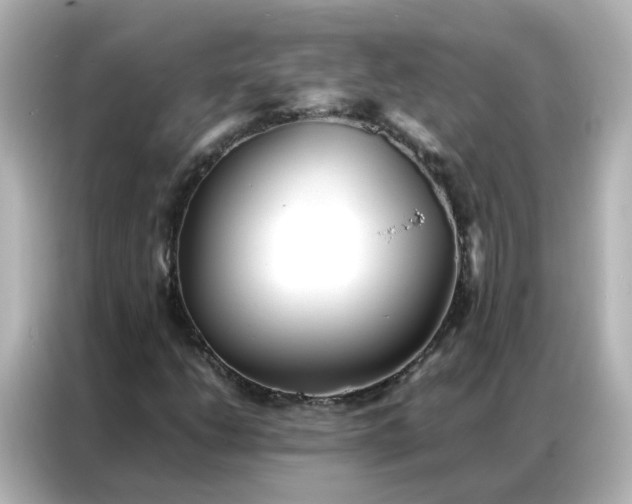 X0000086921206200704301050