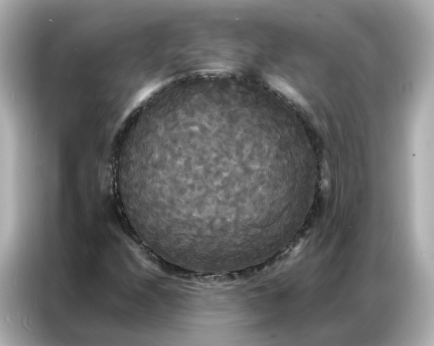 X0000086921208200704301050