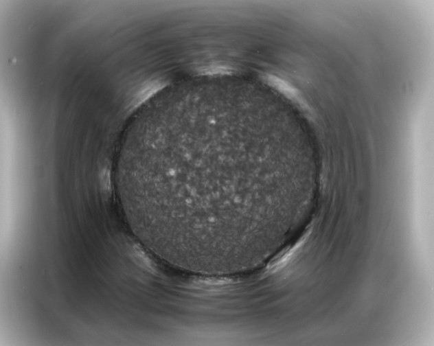 X0000086921209200704301050