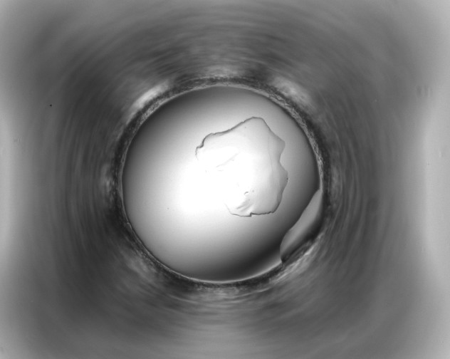 X0000086921210200704301050