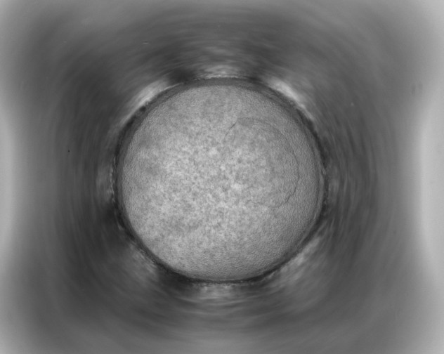 X0000086921211200704301050