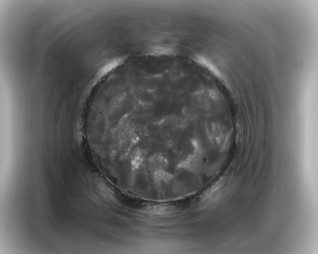 X0000086921213200704301050