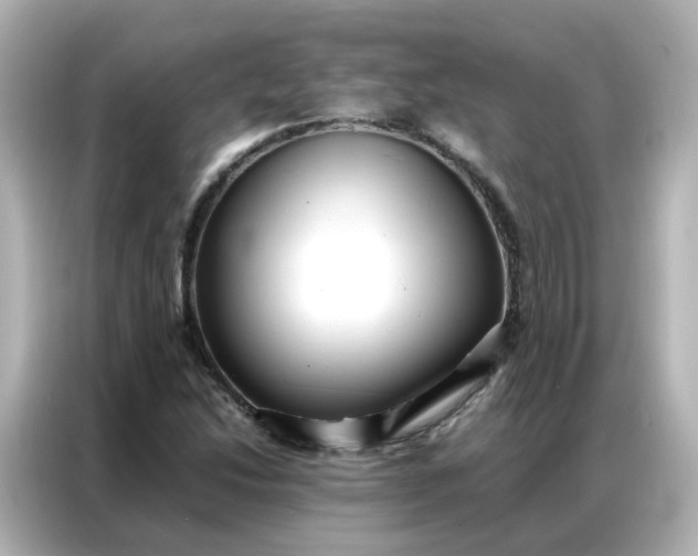 X0000086921214200704301050