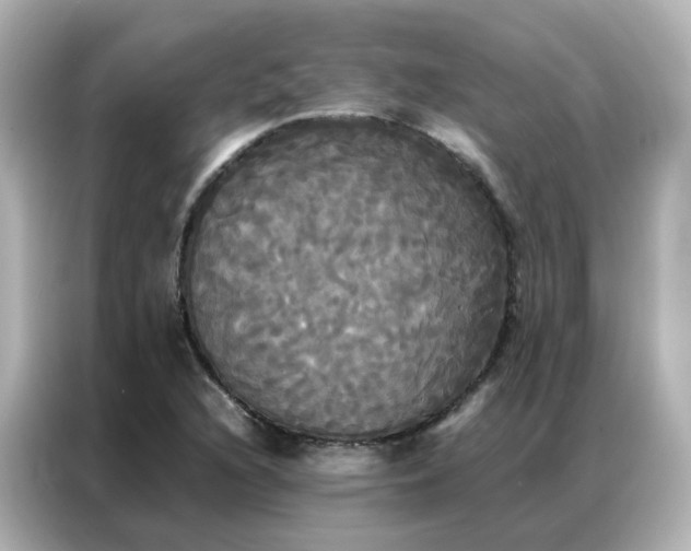 X0000086921216200704301050