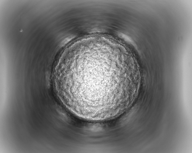 X0000086921217200704301050