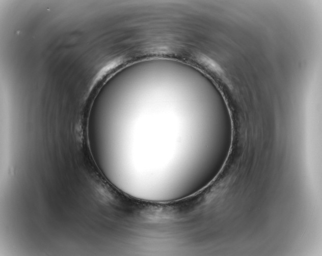 X0000086921218200704301050