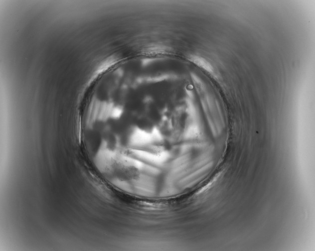 X0000086921219200704301050