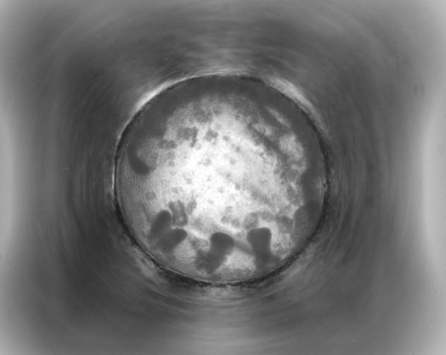 X0000086921220200704301050