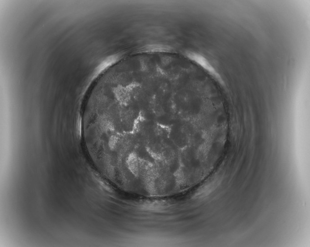 X0000086921221200704301050