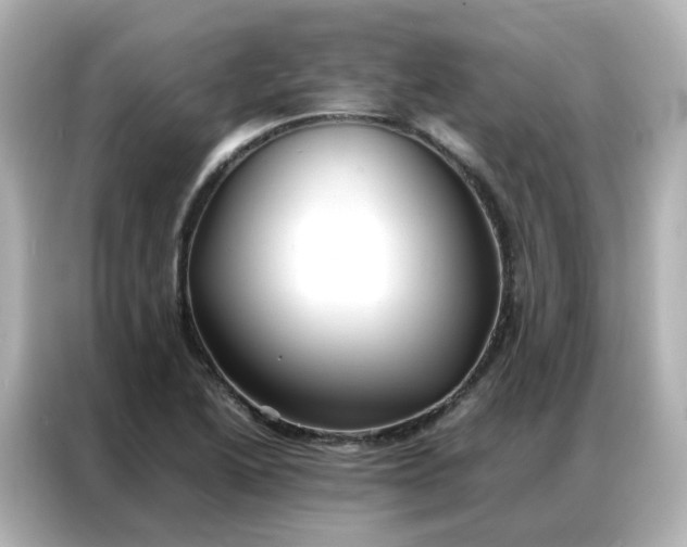 X0000086921222200704301050