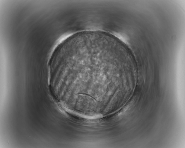 X0000086921223200704301050