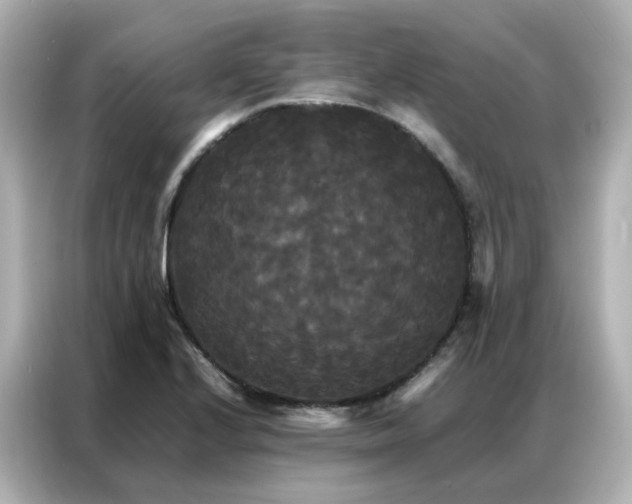 X0000086921224200704301050