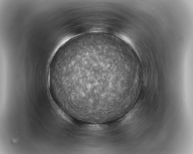 X0000086921227200704301050