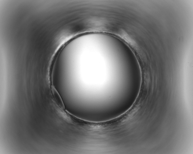 X0000086921230200704301050