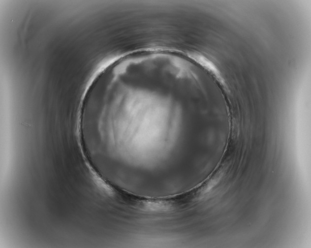 X0000086921231200704301050