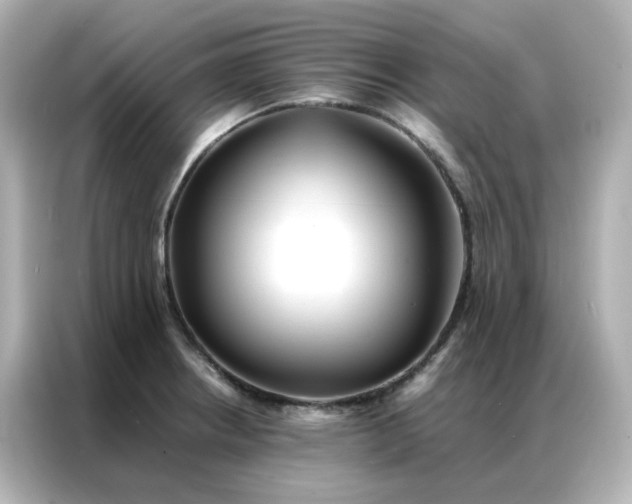 X0000086921234200704301051