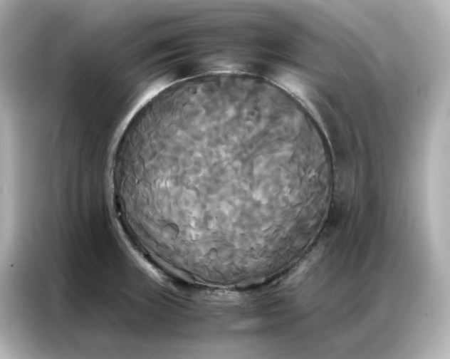 X0000086921235200704301051