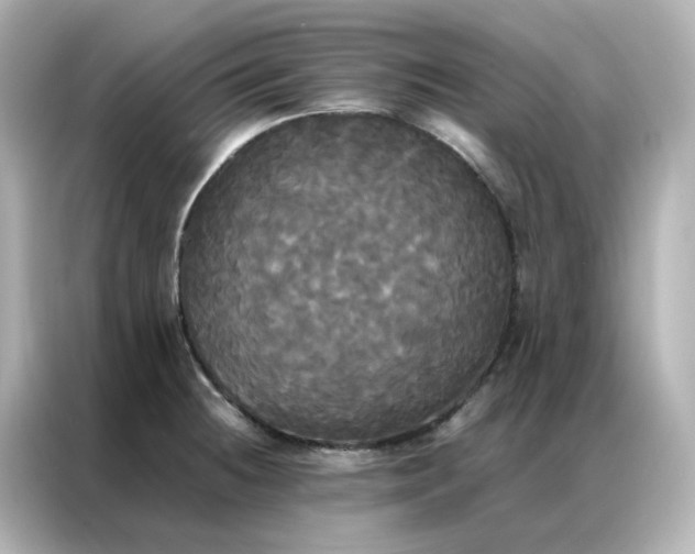 X0000086921236200704301051