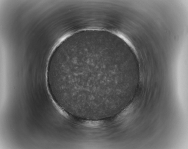 X0000086921237200704301051