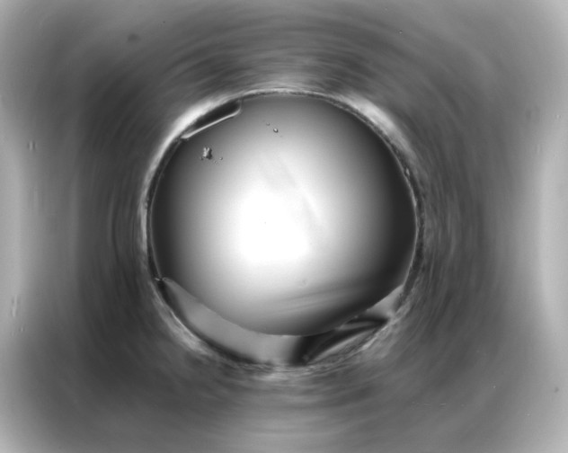 X0000086921238200704301051