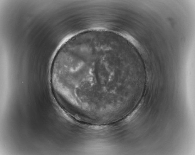 X0000086921240200704301051