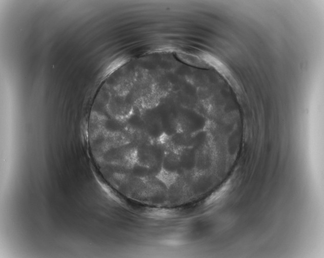 X0000086921241200704301051