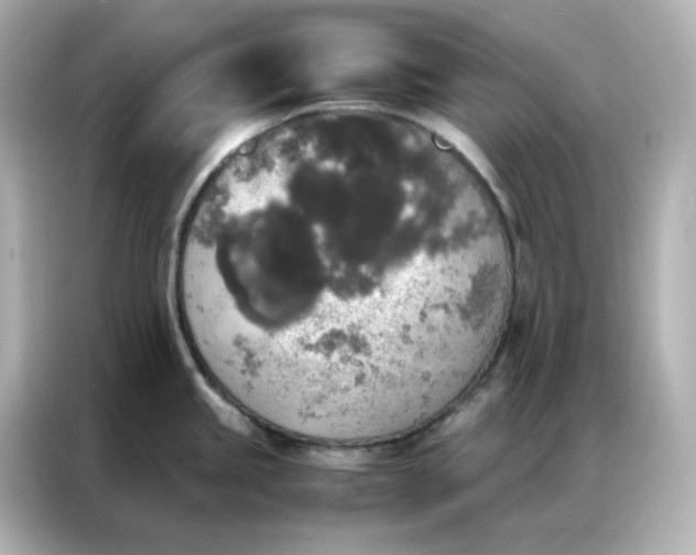 X0000086921245200704301051