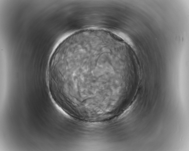 X0000086921247200704301051