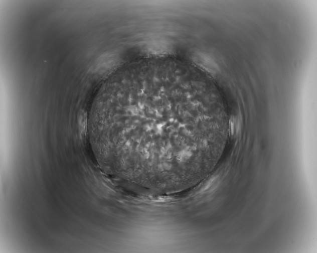 X0000086921251200704301050