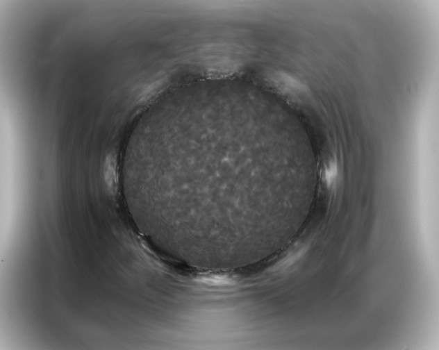 X0000086921252200704301050