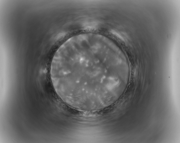 X0000086921254200704301050