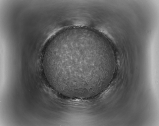 X0000086921256200704301050
