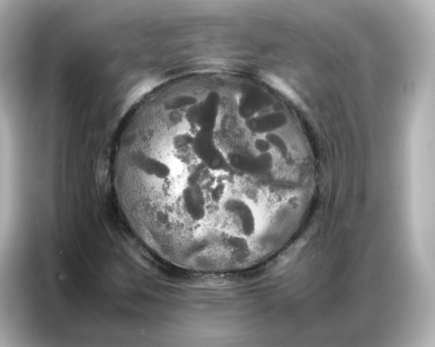 X0000086921259200704301050