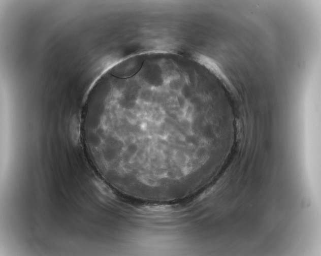 X0000086921260200704301050