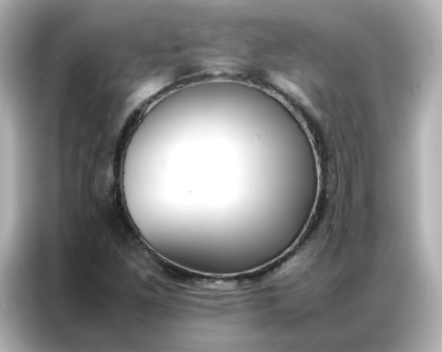 X0000086921261200704301050