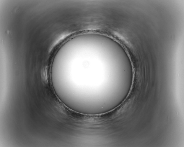 X0000086921262200704301050