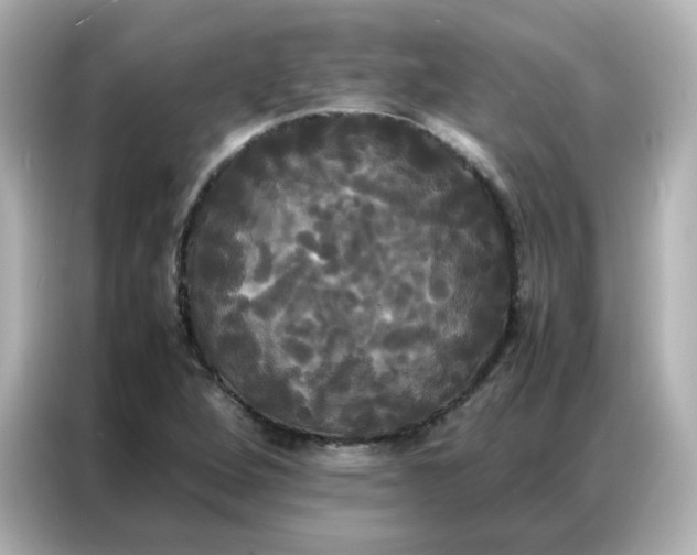 X0000086921264200704301050