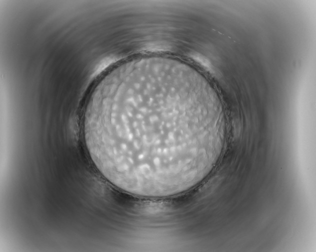 X0000086921266200704301050