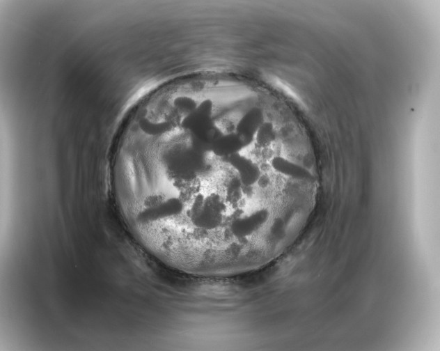 X0000086921267200704301050