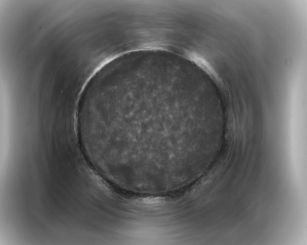 X0000086921268200704301050