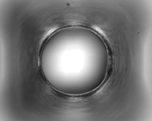 X0000086921269200704301050