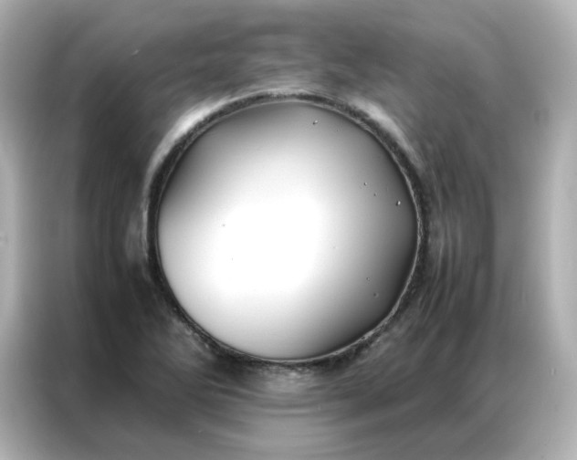 X0000086921270200704301050