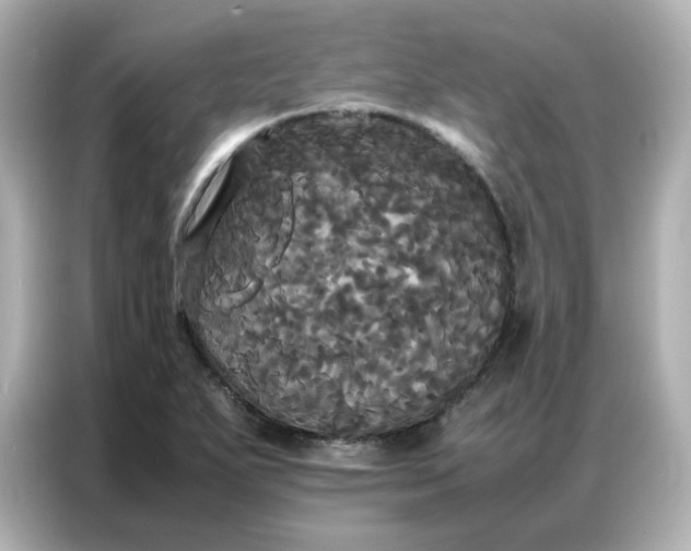 X0000086921271200704301050