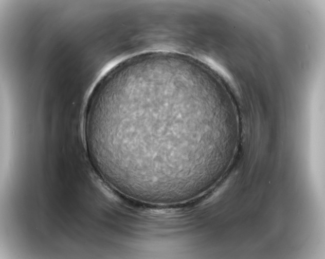 X0000086921272200704301050